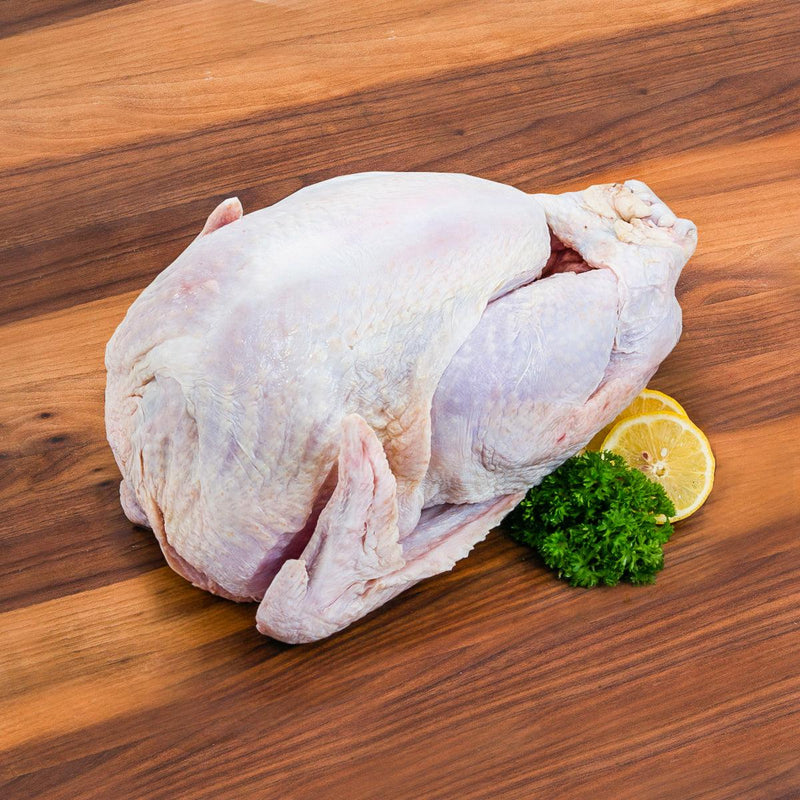 DAYLESFORD ORGANIC UK Chilled Organic Turkey Bronze  (1pc)