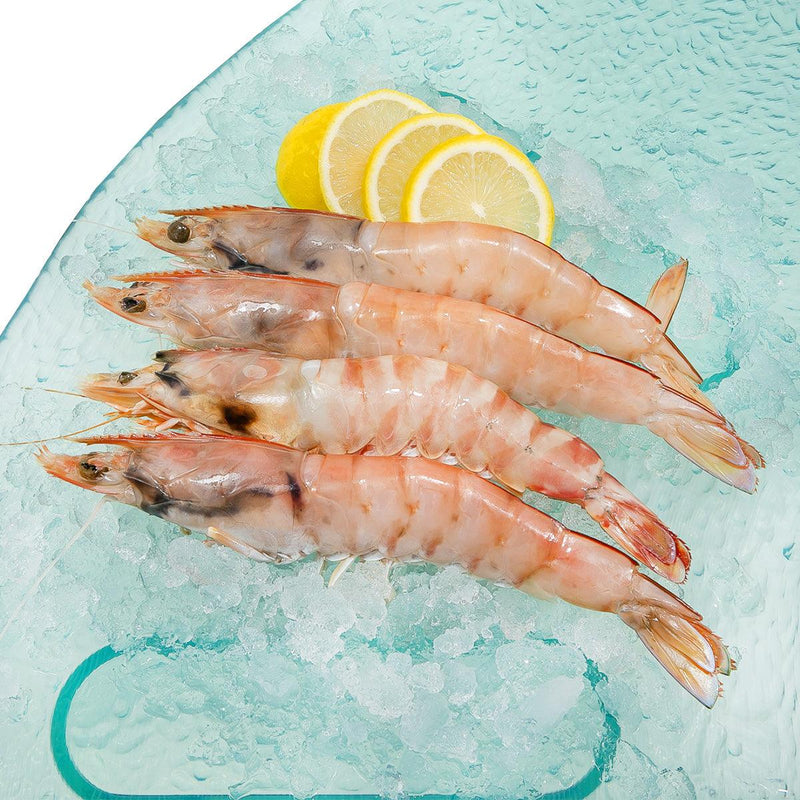 OCEAN KING PRAWN Australian King Prawn [Previously Frozen]  (300g)