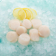 Japan Hokkaido Frozen Scallop U15 for Cooking  (1pack)