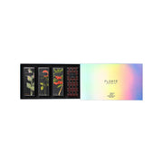 FLORTE 20th Anniversary Gift Set with 4 Teas  (1set)